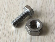 SS 310 Hex Bolt, Size: M6-m55